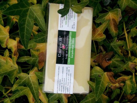 SAPONE DI CARPOBROTUS